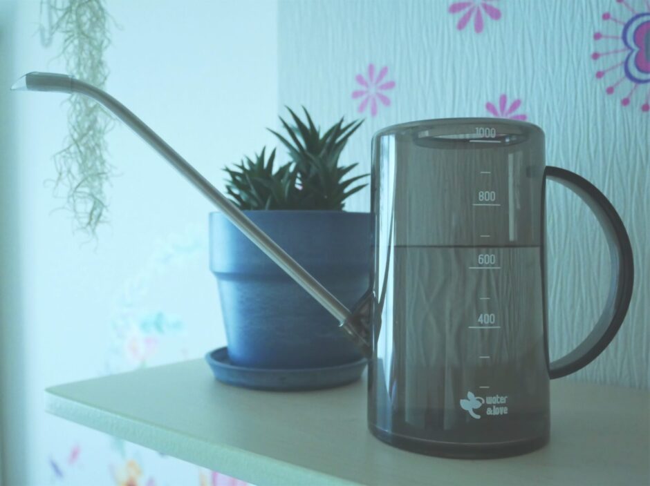 水やりの準備をしているところ